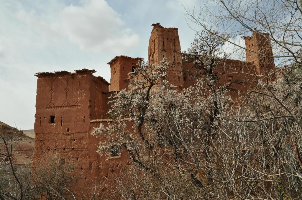 Bed and Breakfast Kasbah Tigmi N'Oufella Telouet Exteriér fotografie